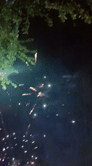 Fireworks display lights up night sky in Irbit, Russia