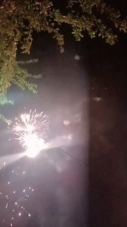 Fireworks display lights up night sky in Irbit, Russia