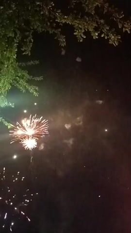 The video shows multiple fireworks exploding in the night sky. The explosions occur as viewed from ground level. At the top of the frame, the leaves of a tree are visible. A light pole is present on the left. The fireworks are various sizes and shapes, generally white and orange.