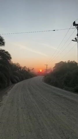 The video captures a dirt road leading towards a setting sun. Palm trees are visible on the left side of the road, and dense foliage lines the right. Power lines stretch across the frame overhead. The sky is a soft gradient of blue and orange, with a few wispy clouds. A hazy mist hangs in the air, particularly around the setting sun, creating a diffused glow. The road appears to be in a rural or natural setting, with no vehicles or people visible.