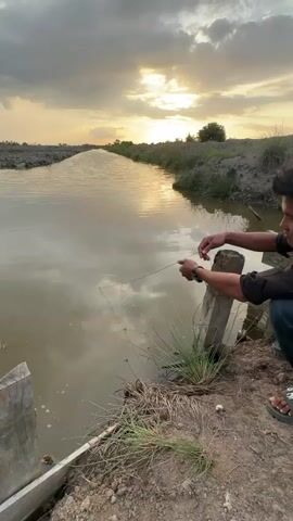 A person is fishing in a narrow body of water at dusk. The water is calm and reflects the cloudy sky and the setting sun. The person is holding a fishing line and appears to be waiting for a bite. There are some wooden structures on the bank of the water, and vegetation growing around them. The surrounding landscape is flat and appears to be agricultural land.