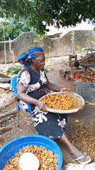 Morning activities documented in Akwanga: palm processing, cooking, exercise