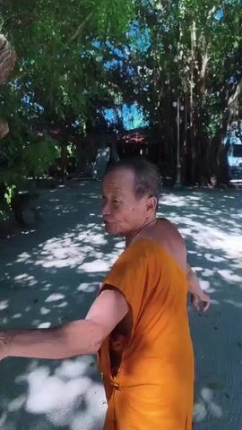 An elderly man wearing an orange robe is standing outdoors near a large tree with exposed roots. He is pointing at the tree and appears to be speaking. Sunlight filters through the leaves, casting shadows on the sandy ground. The man's face is wrinkled, and his hair is short and gray. He is looking towards the tree, his body angled slightly away from the camera. His right arm is extended, and his index finger is pointing upwards. His left hand is also extended, with his fingers spread. The background shows more trees and some structures that appear to be part of a temple or monastery.