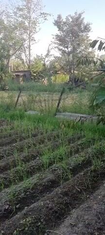 The video shows a field with rows of young green plants, likely a crop. In the background, there is tall green vegetation, including what appears to be corn stalks, and some buildings or structures. The sky is visible above the trees. The camera is moving slightly, panning across the scene. There are no people visible in the video. The overall environment appears to be rural or agricultural. There is some smoke or mist visible in the air in the upper left portion of the frame.