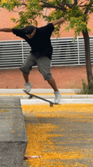 Barcelona street life: skateboarders, trams, architecture amid yellow petals