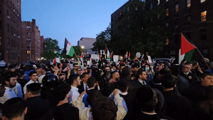 Crowd with Palestinian flags gathers on New York street