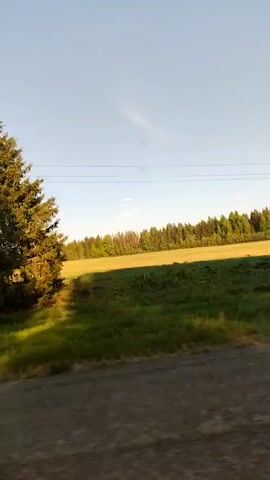 The video shows a car driving alongside a field. The field has two different kinds of foliage growing in it. One side is taller grass, the other is shorter and golden. The field is bordered by a line of trees. Scattered throughout the field are a few trees. There are also power lines running parallel to the field. The sky is blue. The camera is looking out of the car's side window. The audio contains music.