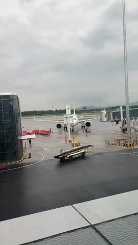 The video shows an airport tarmac on a cloudy day. An airplane is parked at a gate, connected to a jet bridge. A baggage tug with a conveyor belt is positioned near the airplane's cargo door. Several airport workers are visible on the tarmac, some standing near the plane and others near the jet bridge. Red baggage carts are also present near the wing of the plane. The tarmac is wet, suggesting recent rain. In the background, there are other airport buildings and distant hills. The video zooms in slightly on the airplane and jet bridge.