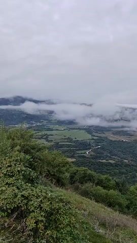 The video shows a panoramic view from a hillside overlooking a valley on an overcast day. The foreground is dominated by lush green foliage, including bushes and grass, with some dry stalks of vegetation. The middle ground reveals a rolling landscape of dense green forests, interspersed with patches of lighter green fields. A winding dirt road is visible, snaking through the valley and disappearing into the trees. In the background, mountains are shrouded in a layer of thick, low-hanging clouds, creating a dramatic and moody atmosphere. The sky is completely overcast with gray clouds.