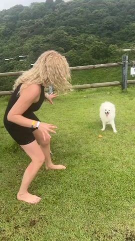 A blonde-haired woman in a black dress is playing with a small white dog on a grassy hill. The woman is in a low crouch, with her arms outstretched towards the dog. The dog is facing the woman, with its mouth open and a tennis ball in front of it. The background is a lush green forest. There is a wooden fence behind the woman and the dog, and a sign on the fence. The weather is overcast.