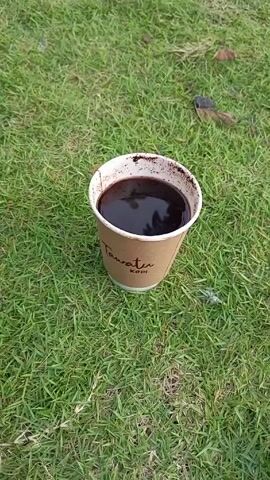 Here's a detailed description of the video:

**Scene:** The video shows a cup of black coffee sitting on a patch of green grass.

**Objects:**
*   **Coffee Cup:** The coffee is in a brown paper cup with white trim. The cup has text on it, reading "Tawatu KOPI". The coffee appears to be full to the brim and very dark.
*   **Grass:** The grass is a vibrant green, and the coffee cup is placed directly on it. There is a small brown object, possibly a dead leaf, visible in the upper right area of the shot.

**Environment:**
The scene is outdoors, indicated by the grass. The lighting suggests it is daytime, but it is not particularly bright, possibly due to cloud cover.

**Overall Impression:** The scene conveys a simple moment of enjoying coffee outdoors.