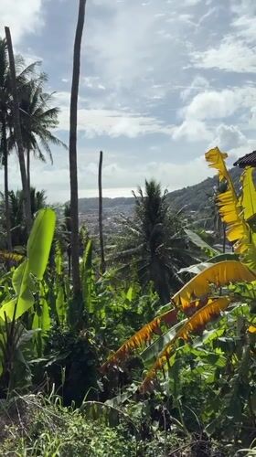 Morning life documented across Karon, Thailand resort town