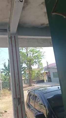 The video shows a view through an opening. A black car is parked in front of a building. A tree with green leaves is visible behind the car. The sky is clear and bright. There are some structural elements in the foreground that appear to be part of a building or shelter. The overall scene suggests an outdoor environment, possibly a residential area or a parking lot.