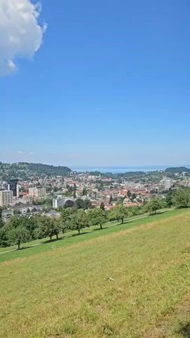 This is a video of a panoramic view of the city of St. Gallen, Switzerland, on a clear, sunny day. The foreground is a gently sloping, sun-drenched green meadow with a line of trees running along its edge, creating a natural barrier between the meadow and the city. Beyond the meadow, the city of St. Gallen unfolds, a tapestry of red-tiled roofs, interspersed with modern buildings and a prominent stadium. The city is nestled in a valley, with rolling, tree-covered hills rising in the background, and a hint of a body of water in the distance, possibly Lake Constance. The sky is a vibrant blue, dotted with fluffy white clouds, indicating fair weather and likely daytime, given the bright sunlight casting shadows. There are no people or specific objects of focus in the foreground or the city itself, allowing the viewer to take in the sweeping vista of the urban landscape and its natural surroundings. The overall impression is one of tranquility and the beauty of a well-established European city integrated with its natural environment.