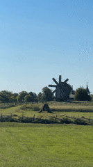 Kizhi Island's historic wooden architecture on a sunny summer morning