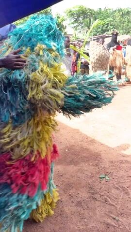 The video shows two costumed performers in an outdoor setting, accompanied by music and onlookers. The first performer wears a full-body suit made of colorful, shaggy fibers, predominantly blue, yellow, green, and red.  The second performer, dressed in straw-like material, is followed by a man in jeans and a gray shirt who dances with a bundle of green leafy branches. The scene is taking place in a dirt-covered area with a few trees visible in the background, along with tents, chairs, and a parked vehicle. Some people are standing and watching the performers. There is a building in the background.