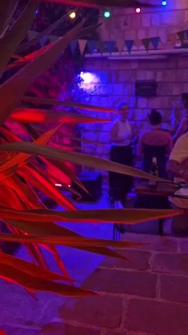 The video captures a dimly lit outdoor seating area of what appears to be a bar or restaurant. The scene is illuminated by a mix of red and blue colored lights, casting a vibrant, atmospheric glow. In the foreground, large, spiky green leaves with red lighting on them dominate the left side of the frame, partially obscuring the background.

In the background, several people are visible, though their faces are not clearly discernible due to the lighting and distance. They are standing or seated around tables. One person in a white top and dark pants stands near a brick wall. Another person in a dark top and pants is also standing. Further to the right, a person in a yellow shirt is seated. There are string lights with colored bulbs draped across the top of the frame, and small triangular flags are also visible, suggesting a festive or decorative setup. The ground is paved with stone or brick. The overall impression is that of a social gathering in an outdoor venue at night.