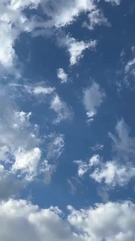 The video shows a bright blue sky with fluffy white clouds drifting slowly. Some green treetops are visible at the bottom of the frame. The camera is pointed upwards and remains still throughout the video.
