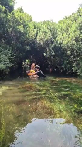 A man wearing a black t-shirt and a baseball cap is partially submerged in the water, interacting with a woman wearing a yellow bikini. The woman is sitting on an orange object, possibly a float or a paddleboard, in a body of water surrounded by lush green trees and foliage. The water is clear, with visible aquatic plants on the bottom. The scene appears to be outdoors in a natural setting.