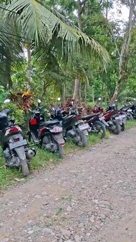 The video shows an outdoor scene featuring a gravel road or path winding through a lush, green environment. On the left side of the path, a long row of motorcycles is parked, facing away from the camera. Most of these appear to be scooters or small motorbikes. On the right side of the path, a black Toyota Innova SUV is parked, also facing away from the camera. The car's license plate, "BL 1385 AV," is clearly visible. Text on the car's rear also includes "INNOVA," "G," and part of "KIJANG."

In the background, dense tropical vegetation, including tall trees and palm trees, forms a natural canopy. A single person can be seen walking away from the camera in the distance, further down the path. The lighting suggests it is daytime, possibly overcast or early morning/late afternoon. The overall setting appears to be a rural or semi-rural area, possibly a parking area near a natural attraction or local gathering spot.