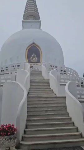 The video shows a white stupa with a golden Buddha statue visible inside an archway. A staircase with white railings leads up to the stupa. Pink flowers in a pot are on the left side of the frame. The sky is overcast.