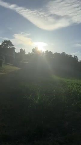 The video captures a sunlit cornfield on a gentle slope under a partly cloudy sky. The sun is positioned high and to the left, casting bright rays and a lens flare across the scene. A gentle breeze causes the leaves of the young corn plants to rustle. In the background, a wooded hillside curves to the right, with trees silhouetted against the sky. A building, possibly a house, is partially visible on the left side of the frame, set back from the field. The overall impression is one of a serene rural landscape at dawn or dusk.