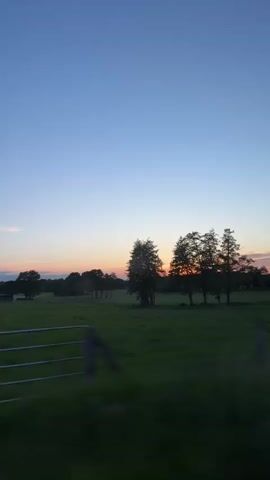 The video depicts a view from a moving vehicle, showing a green field with trees against a blue and orange sky at sunset. The camera pans quickly, causing the trees in the foreground to blur. The background reveals a horizon of darker trees silhouetted against the fading light of the sunset. There's also a glint of what appears to be a trash bin or metal object in the foreground to the left, slightly blurred by the movement.