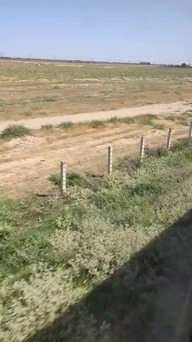 A video begins with a view of a dry, grassy landscape with scattered bushes and a fence line. The camera then moves indoors to show the interior of a train car. The interior is utilitarian with metal walls and a diamond-plated floor. A door with a handle is visible, and the camera pans to show the door's hinges and latch. The video ends with a brief shot of a closed door.