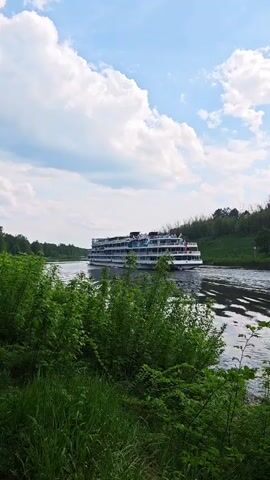 The video depicts a river scene with a large cruise ship moving from right to left on the water. The ship is white and several decks high, leaving a trail in the water behind it. The river is surrounded by green vegetation on both sides. The foreground features dense green bushes and tall grass. Above, the sky is bright blue with scattered white clouds, suggesting a sunny day. The camera appears to be stationary, capturing the ship's passage from a ground-level perspective.