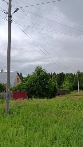 The media file shows a rural scene in Gribchikha, Russia, on a cloudy day. The camera is positioned low, likely at ground level, and the footage is oriented vertically. Power lines and utility poles dominate the left side of the frame, suggesting a developed area within a rural landscape. 

To the right, a lush, overgrown field of tall green grass stretches into the distance. Interspersed within the greenery are a few scattered wildflowers. A weathered wooden fence runs along the edge of the field, separating it from what appears to be a residential area.

Behind the fence, glimpses of rural buildings can be seen. One structure has a light-colored metal roof and a light brown wooden upper section with a visible window. Another building features a reddish fence. Dense green trees form a backdrop to the houses, with a thicker forest appearing further in the distance. The sky is overcast with heavy gray clouds, indicating a possibly rainy or humid day.

The overall impression is one of a quiet, somewhat unkempt, but lived-in rural environment. There are no people visible in the footage. The time of day is indeterminate due to the cloud cover, but it appears to be daytime. There is no visible text in the media file.