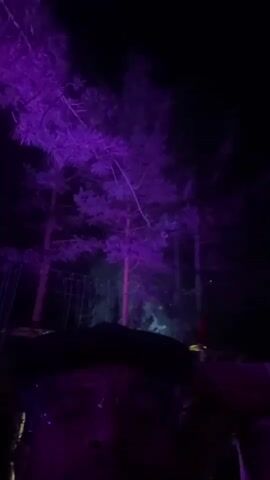 A person films a night scene outdoors, showing the top of their head and face in the foreground, wearing glasses. In the background, tall pine trees are illuminated by purple lights. A bright flash of red-orange light and a burst of smoke or sparks are visible amongst the trees.