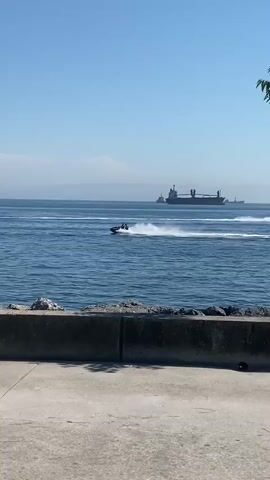 A jet ski cuts through the water, leaving a white wake behind it. Large cargo ships are visible in the background, spread out across the horizon. The sky is clear and blue, and the water is a deep blue. The camera pans slowly to the right, revealing a glimpse of green foliage in the upper left corner. A concrete wall is visible in the foreground, separating the viewer from the water.