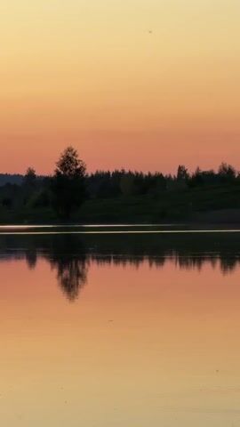 The video shows a serene lake at sunset. The sky is a gradient of orange and yellow, reflecting on the calm surface of the water. A line of trees is visible in the distance, silhouetted against the sky. A single tree stands out near the center, its reflection clearly visible in the water.