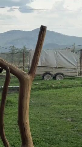 The video shows a trailer with a grey cover parked on green grass, with a backdrop of mountains under a cloudy sky. In the foreground, there is a wooden structure resembling a tree branch, with many small white particles floating in the air, likely representing snow or hail. The scene appears to be outdoors.