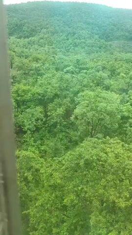 The video opens with a close-up view of a wooden beam in the foreground, with a lush green forest covering rolling hills in the background. The camera then pans to the left, revealing more of the dense forest and the overcast sky. Next, the perspective shifts to a metallic structure, possibly a pole or support beam, with water droplets on its surface. The camera continues to move, offering a wider view of the forest and the sky. Finally, the video shows a person standing on a platform attached to the metallic structure, looking out at the forested landscape. The person is wearing a dark shirt and has a cloth draped over their shoulder. The overall scene depicts a natural environment with some man-made structures.