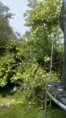 Spring garden gathering with pruning and artistic documentation in Maidstone