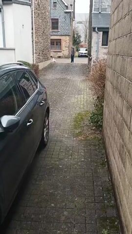 The video shows a gray car parked on the left side of a narrow paved alley between buildings. A woman is walking away from the camera in the distance, and a small white dog is running towards the camera. The alley is lined with brick and stone buildings. Some green plants are growing in between the pavement stones. The sky is overcast.