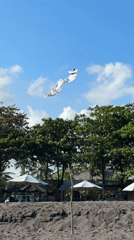 Morning beach visit captures temple, kite, swimmers in Mengwi
