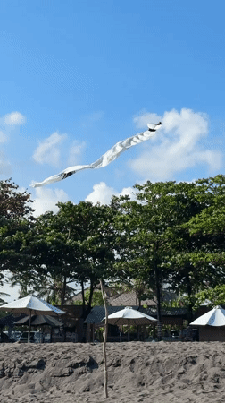 Morning beach visit captures temple, kite, swimmers in Mengwi