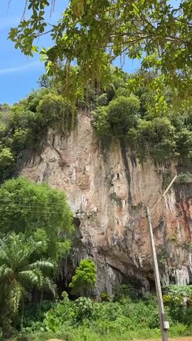 A low-angle, handheld video begins with a wide shot of a massive limestone cliff face covered in trees and vines. A narrow cave opening is visible near the bottom left of the cliff. A tall, slender tree with hanging vines stands in the foreground, obscuring part of the cliff. To the right of the cliff, a utility pole with a light fixture stands prominently. As the video progresses, the camera pans slightly to the right. The bottom portion of the video shows a lush green undergrowth of various plants and palm trees at the base of the cliff. In the final seconds, the camera pans further right and upwards, revealing a portion of a red and gold Buddhist temple with ornate architectural details and a clear blue sky with scattered clouds. The ground in the foreground consists of dirt and scattered grey stones, with evidence of construction or repair work. The overall environment appears to be tropical or subtropical.