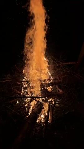 This media file shows a large bonfire at night. The fire is burning brightly with tall flames reaching upwards against a dark background. The bonfire is made of branches and logs, with embers and sparks visible throughout the flames. The scene is set in an outdoor location, likely a wooded area given the presence of branches. The time of day is clearly night due to the darkness surrounding the fire. No people are visible in the media file. The overall mood evoked is one of warmth and light in the darkness. There is no visible text in the media file. The location context is Sosnovyi, Russia.
