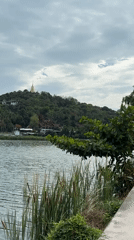 Thailand coastal scenes documented across four minutes in Baan Chaweng