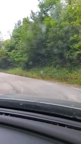 A first-person perspective video shows a car driving on a paved road that curves to the left. The road is lined with green trees and vegetation on both sides. The sky is overcast, and there appear to be some water droplets on the windshield. The road surface is cracked in places.