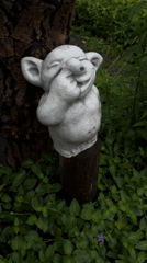 Morning dog walk through wet gardens and forests in Graz
