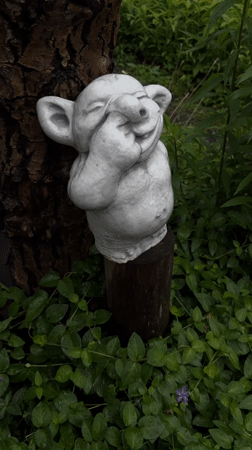 Morning dog walk through wet gardens and forests in Graz