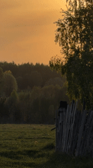 Woman documents rural sunset moment in Брюхово countryside