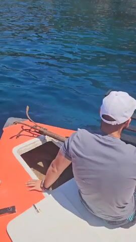 A person is on a small boat with orange trim. They are reaching into a compartment on the boat. The boat is on the water with a rocky, green coastline in the background. The water is blue and clear. The sky is blue and clear.