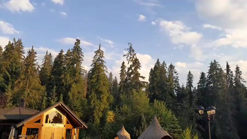 The video shows a view of a forest with tall evergreen trees. In the foreground, there is a wooden structure that appears to be a gazebo or an outdoor seating area with a thatched roof. To the left of the gazebo, a part of a wooden building with a dark roof is visible. The sky is partly cloudy with a bright blue sky. The lighting suggests it is either morning or late afternoon. There are no people or animals visible in the video. The overall environment is natural and rustic.