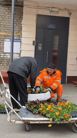 Two men plant flowers in Moscow planter