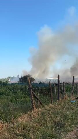 The video captures a rural scene with a clear blue sky and a large plume of smoke rising in the distance, indicative of a fire. In the foreground, there is a dilapidated wooden fence and overgrown grass. Further back, a line of trees and some structures are partially obscured by the smoke. Several people are gathered along a dirt road, observing the fire from a distance. Some are standing, while others appear to be walking or standing in groups. The overall atmosphere suggests a community witnessing a significant event.
